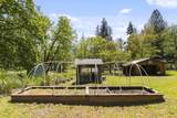 151 Hornet Lane - Photo 36