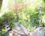 6226 Evans Creek Road - Photo 19
