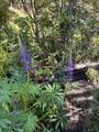 6226 Evans Creek Road - Photo 20