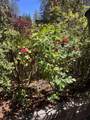 6226 Evans Creek Road - Photo 22