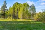 30919 Natasha Way - Photo 46
