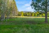 30919 Natasha Way - Photo 47