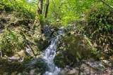 4280 Lower Wolf Creek Road - Photo 2