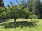 15612 202nd Avenue - Photo 33