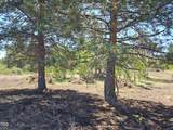 0 Forest View Drive - Photo 8