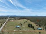 50555 Highway 31 - Photo 3