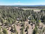 15917 Pinion Jay Lane - Photo 41