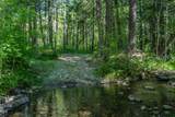 8245 Jumpoff Joe Creek Road - Photo 31