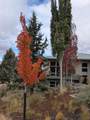 893 Highland View Loop - Photo 47