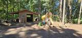 40357 Hilltop Drive - Photo 47
