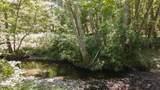 925 Meadow View Drive - Photo 42