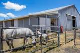 3099 Williams Way - Photo 33