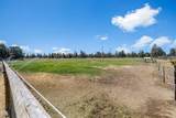 3099 Williams Way - Photo 44