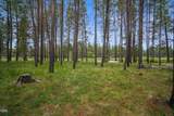 55915 Wood Duck Drive - Photo 37