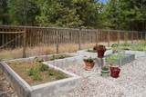 69741 Old Wagon Road - Photo 48