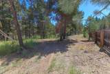 54685 Silver Fox Drive - Photo 44