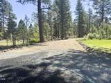 5536 Seagull Drive - Photo 46