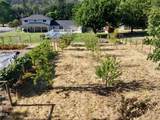 6575 Old Stage Road - Photo 52