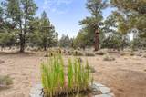 64699 Mcgrath Road - Photo 30