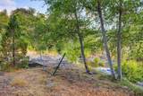 2459 Little Applegate Road - Photo 59