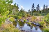 2459 Little Applegate Road - Photo 61