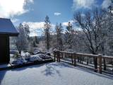 2459 Little Applegate Road - Photo 77
