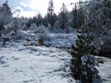 2459 Little Applegate Road - Photo 80