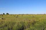 4799 Williams Road - Photo 5