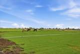 4799 Williams Road - Photo 58