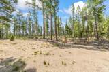 123631 Surveyor Road - Photo 24