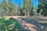 17284 Kingfisher Drive - Photo 6