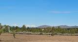 16553 Snake Road - Photo 3