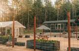 555 Ewe Creek Road - Photo 58