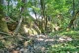 7763 Thompson Creek Road - Photo 53