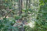 7763 Thompson Creek Road - Photo 55