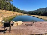 7763 Thompson Creek Road - Photo 60