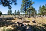 17690 Mountain View Road - Photo 63