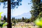 17690 Mountain View Road - Photo 65