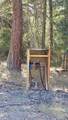 10001 Dead Indian Memorial Road - Photo 15