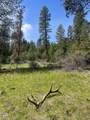 45074 Wind Creek Lane - Photo 40