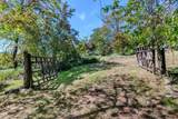 2569 Old Stage Road - Photo 61