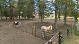 32907 River Bend Road - Photo 45