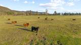 32907 River Bend Road - Photo 51