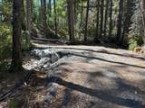 705 Lone Mountain Road - Photo 38