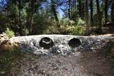 705 Lone Mountain Road - Photo 40