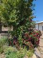 11083 Peninsula Drive - Photo 15