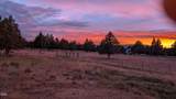 11083 Peninsula Drive - Photo 62