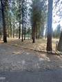 34423 Castle Drive - Photo 11
