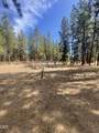 34423 Castle Drive - Photo 33