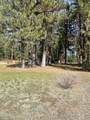 34423 Castle Drive - Photo 9